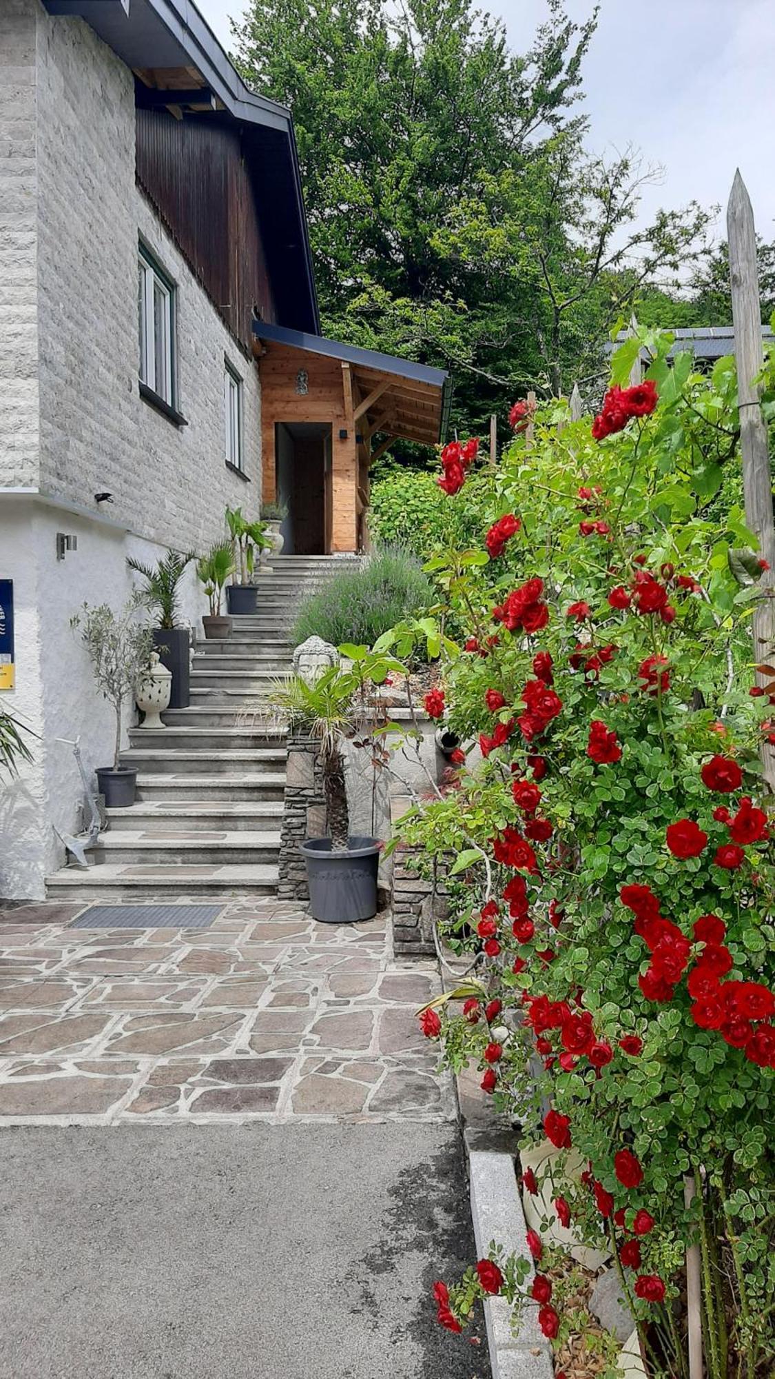 Ferienhaus Goldener Anker Unterach Am Attersee Exteriör bild